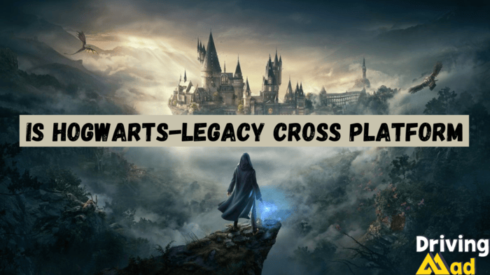 Is hogwarts-legacy cross platform