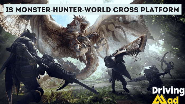 Is monster-hunter-world cross platform